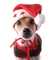 Kaz_Creations Christmas Dog Pup Dogs - PNG gratuit GIF animé