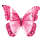 papillon rose - GIF animé gratuit GIF animé