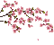spring printemps frühling primavera весна wiosna tube deco garden jardin flower fleur blossom bloom blüte fleurs blumen branch zweig gif anime animated - GIF animé gratuit GIF animé