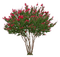 arvore flor - gratis png animeret GIF