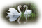 лебеди - безплатен png анимиран GIF