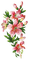 Lilien, pink, Blumen - PNG gratuit GIF animé