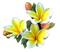 Kaz_Creations Flowers Flower - png grátis Gif Animado