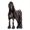 chained stallion - PNG gratuit GIF animé