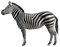 zebra - nemokama png animuotas GIF