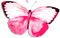 soave deco butterfly scrap pink - PNG gratuit GIF animé
