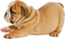 gala animals dog - Free PNG Animated GIF