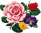 rosemab - 免费PNG 动画 GIF