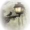 lantern goth raven lanterne corbeau - PNG gratuit GIF animé