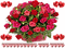 розы,блестки - Бесплатный анимированный гифка анимированный гифка
