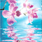 kikkapink background spring pastel animated