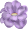 lila-flower-decoration - PNG gratuit GIF animé