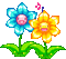 flowers gif - Nemokamas animacinis gif animuotas GIF