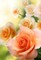 patymirabelle fond fleurs - PNG gratuit GIF animé