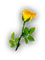 ROSE - безплатен png анимиран GIF