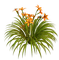 Flores anaranjadas - bezmaksas png animēts GIF