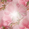 Fond Irena glitter gif deco fleurs rose