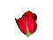 Red rose - GIF animado grátis Gif Animado