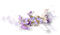 fleur violette.Cheyenne63 - 免费PNG 动画 GIF