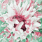 soave background animated flowers sunflowers - Gratis geanimeerde GIF geanimeerde GIF