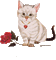 chaton avec une fleur