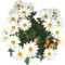 Daisies.Flowers.Marguerites.Fleurs.Victoriabea - PNG gratuit GIF animé