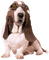 perro by EstrellaCristal - png gratuito GIF animata