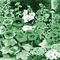Y.A.M._summer landscape background flowers green - Бесплатный анимированный гифка анимированный гифка