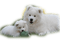 chien - zdarma png animovaný GIF