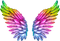 Angel/Fairy Wings - zadarmo png animovaný GIF