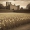 Castle and Daffodil Field - png gratis GIF animado