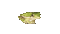 very sparkly suspicious frog - Безплатен анимиран GIF анимиран GIF
