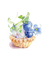 Watercolor Dessert - δωρεάν png κινούμενο GIF