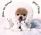 froid brrrr !!!! - png gratis GIF animasi