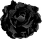 Flowers black bp - png gratis GIF animasi