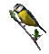 bird - Zdarma animovaný GIF animovaný GIF