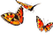 Бабочки.Акварель - Free PNG Animated GIF