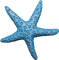 starfish Bb2 - png gratis GIF animasi