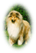 cecily-chien - безплатен png анимиран GIF