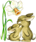 Jonquilles web charmille - 免费PNG 动画 GIF