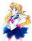 Sailor Moon Crystal - png grátis Gif Animado
