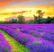 Rena Purple Flower Field Hintergrund - ilmainen png animoitu GIF