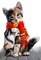 Chat - idca - kostenlos png Animiertes GIF