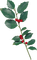 winter-plant with red berries-turquoise-deco-minou52 - PNG gratuit GIF animé
