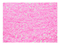 Explosión rosa - Besplatni animirani GIF animirani GIF