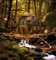 Forest - kostenlos png Animiertes GIF