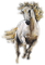 Horse - безплатен png анимиран GIF
