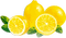 soave deco summer fruit lemon  yellow green