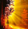 Rena Autumn Herbst Hintergrund Background Sun - zadarmo png animovaný GIF