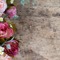 kwiatowe tło/vintage - besplatni png animirani GIF